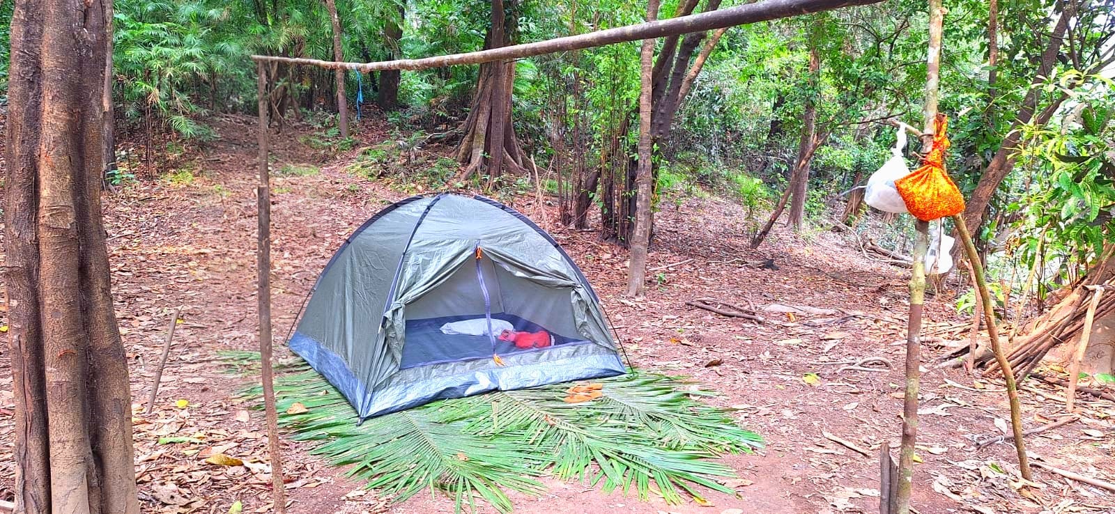 Tented camp set up in the Amazon jungle on a fishing trip