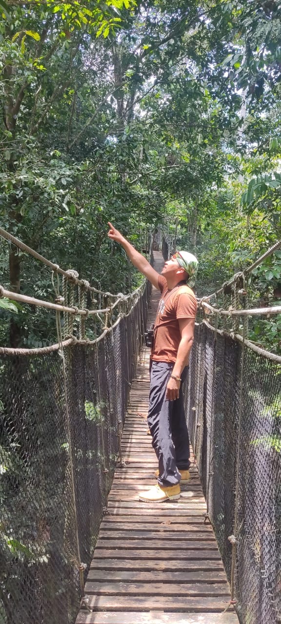 Canopy walk in Pacaya-Samiria National Reserve