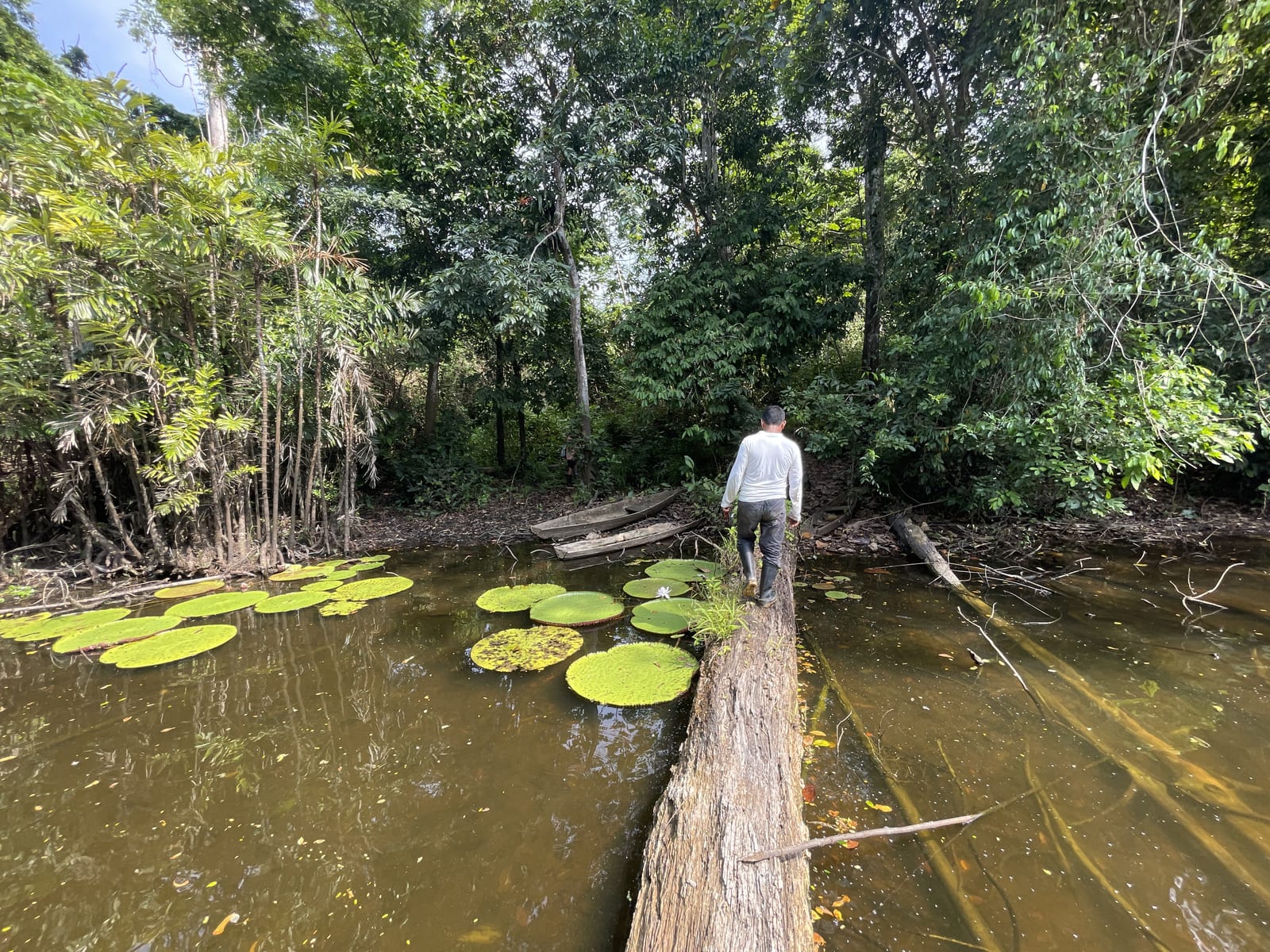 3-Day All-Inclusive Guided Jungle Tour from Iquitos
