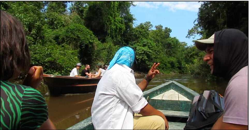 2-Day All-Inclusive Guided Jungle Tour from Iquitos