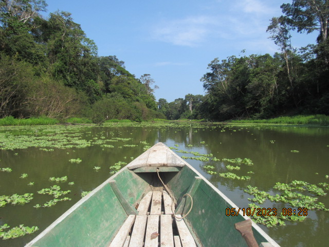 Canoe ride on the Amazon River between fishing spots