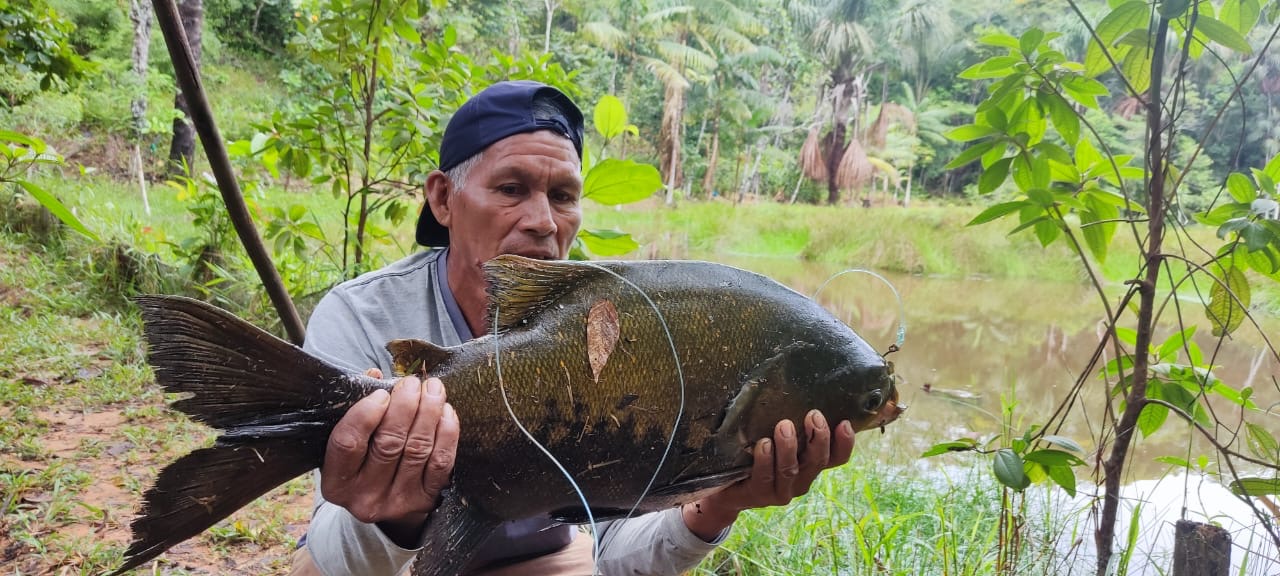 Pacu caught on a Brisa Tropical Amazon sport fishing tour