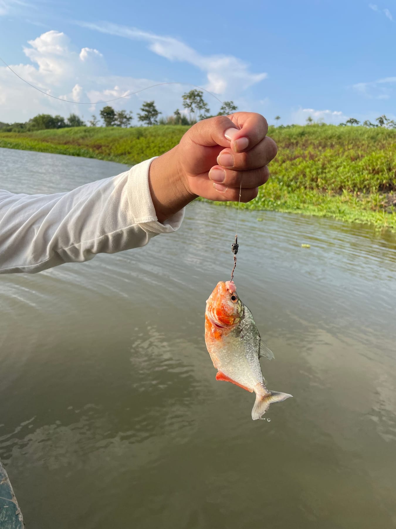 4-Day All-Inclusive Guided Jungle Tour from Iquitos