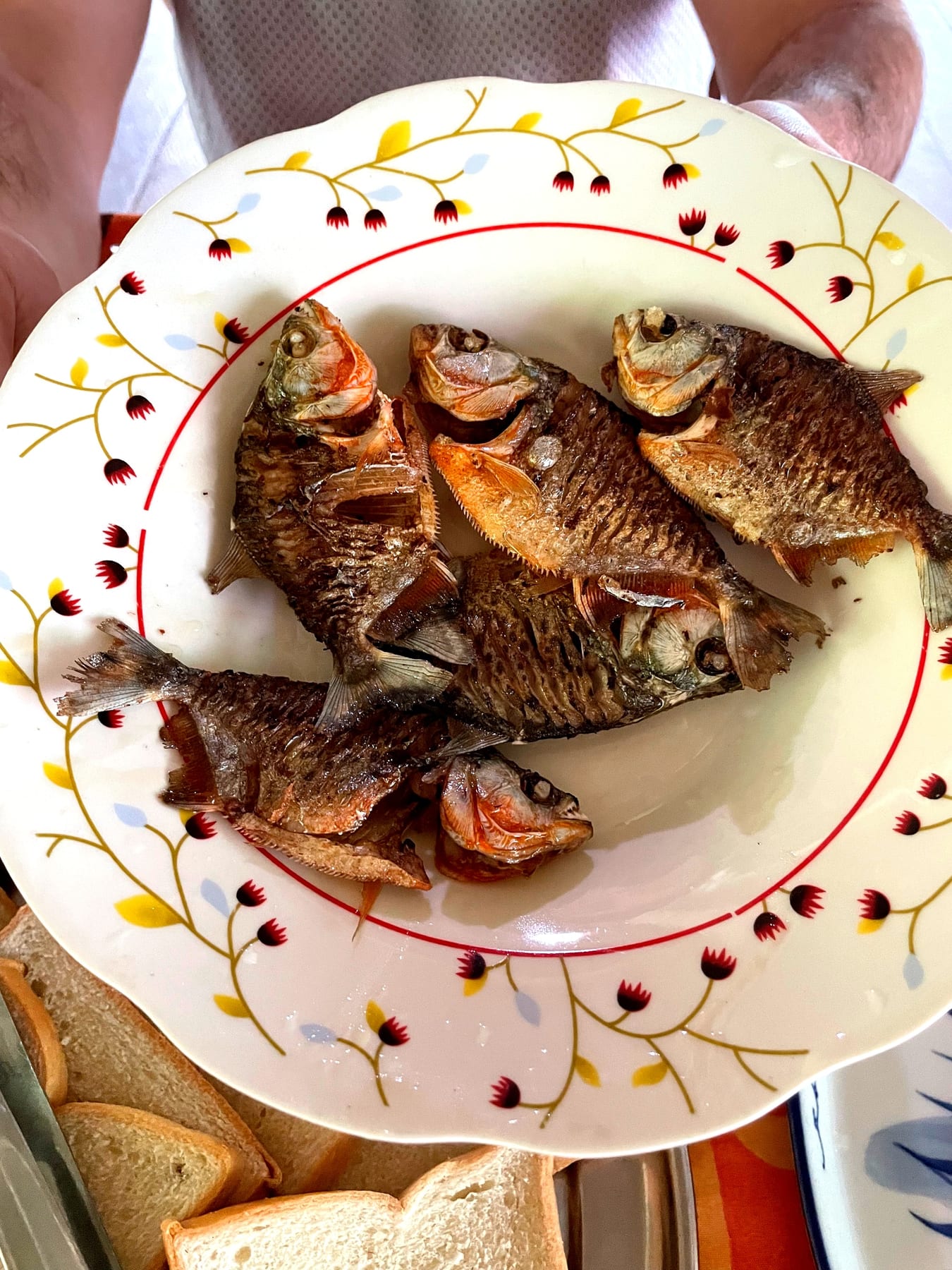 Plate of fresh-caught piranha prepared at the lodge