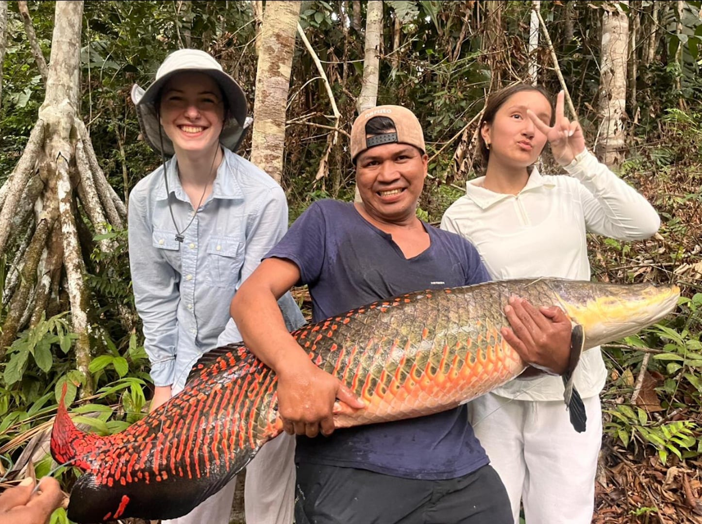 Arapaima (paiche) caught on a Brisa Tropical sport fishing tour