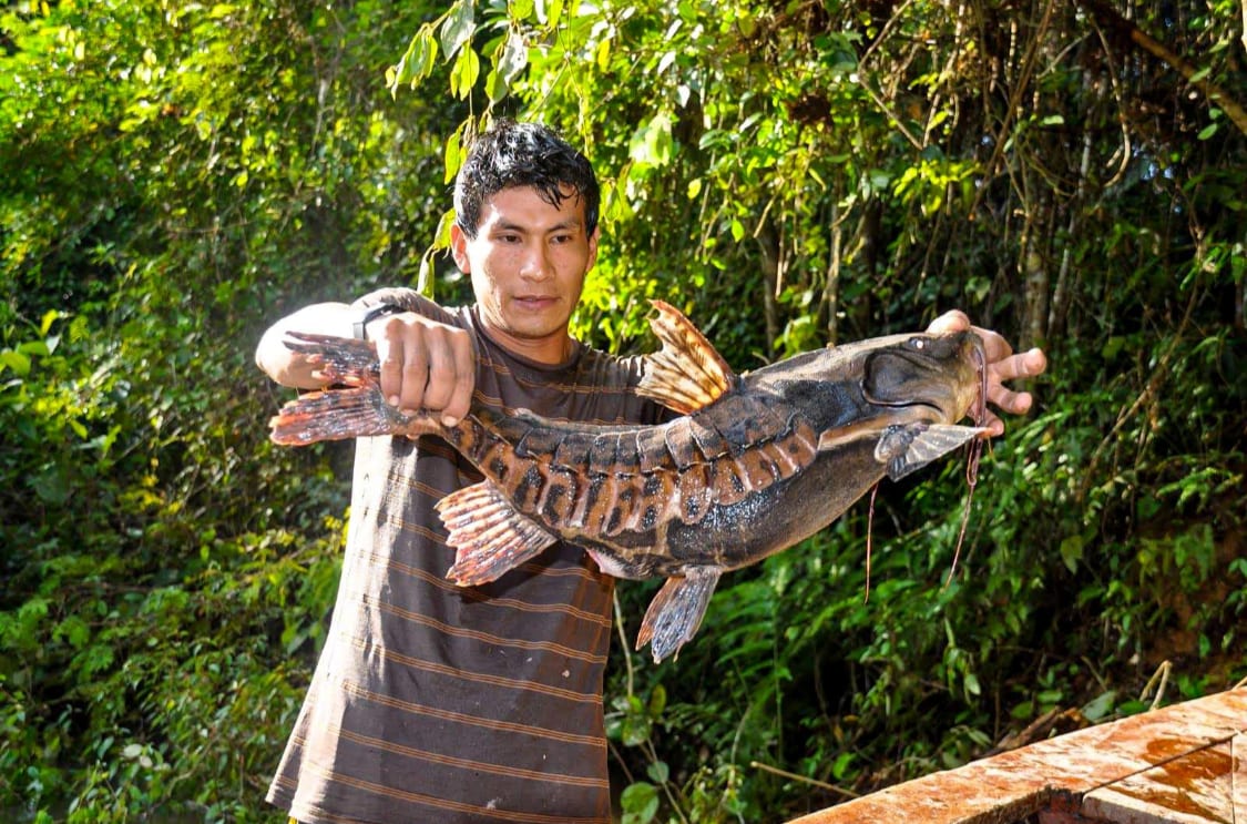 Amazon catfish caught on a Brisa Tropical sport fishing tour